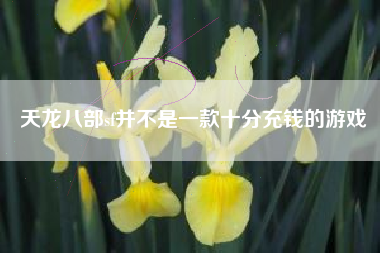 天龙八部sf并不是一款十分充钱的游戏