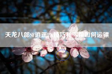 天龙八部SF逍遥PK技巧和丐帮如何运镖