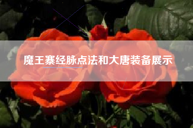 魔王寨经脉点法和大唐装备展示