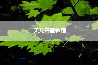 天龙开服教程
