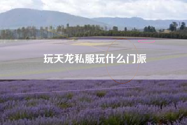 玩天龙私服玩什么门派