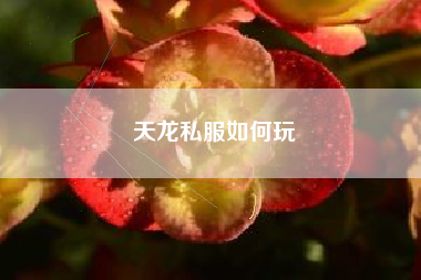 天龙私服如何玩