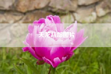 天龙八部图片