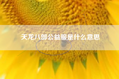 天龙八部公益服是什么意思