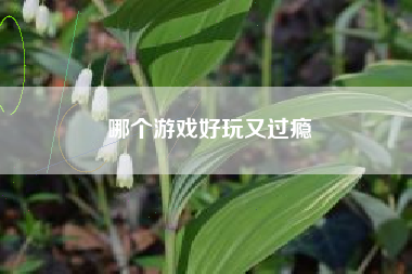 哪个游戏好玩又过瘾