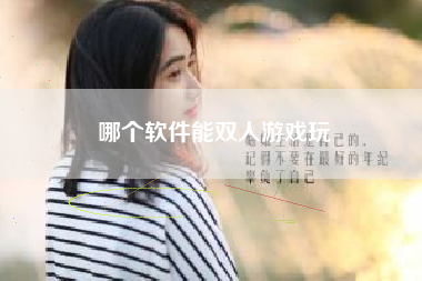 哪个软件能双人游戏玩