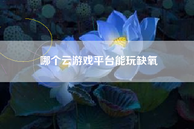 哪个云游戏平台能玩缺氧