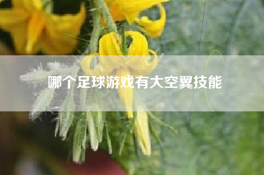 哪个足球游戏有大空翼技能