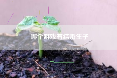 哪个游戏有结婚生子