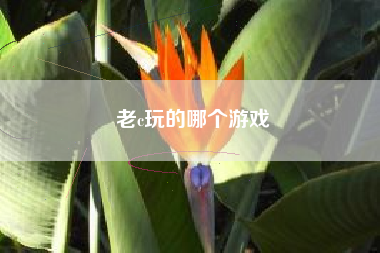 老c玩的哪个游戏