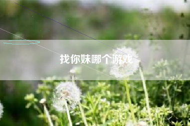 找你妹哪个游戏