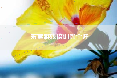 东莞游戏培训哪个好