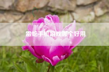 雷蛇手机游戏哪个好用