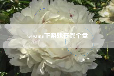 wegame下游戏在哪个盘