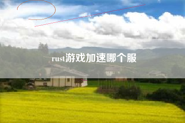 rust游戏加速哪个服