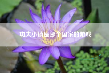 功夫小镇是哪个国家的游戏
