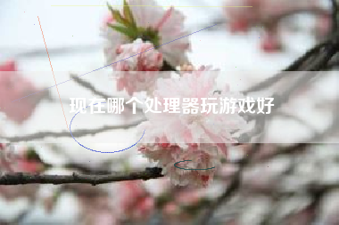 现在哪个处理器玩游戏好