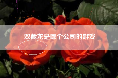 双截龙是哪个公司的游戏