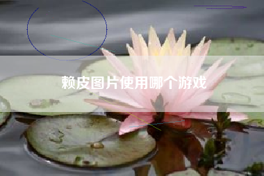 赖皮图片使用哪个游戏