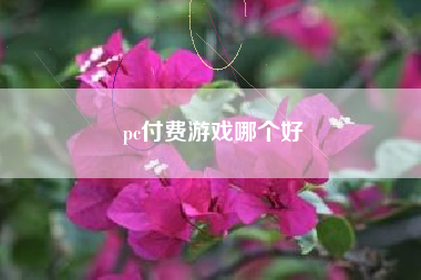 pc付费游戏哪个好