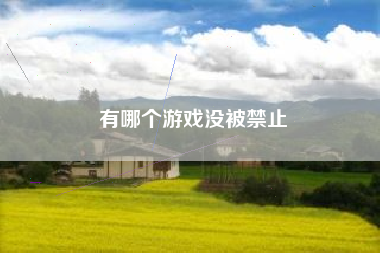 有哪个游戏没被禁止