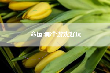 命运2哪个游戏好玩