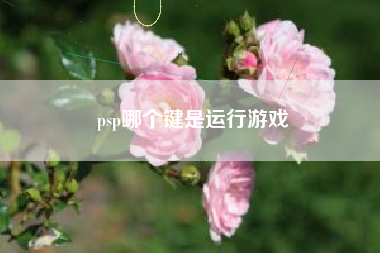 psp哪个键是运行游戏