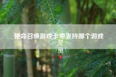 使命召唤游戏卡带支持哪个游戏