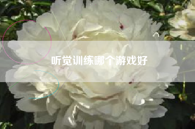 听觉训练哪个游戏好