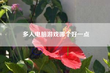 多人电脑游戏哪个好一点