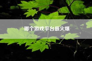 哪个游戏平台最火爆