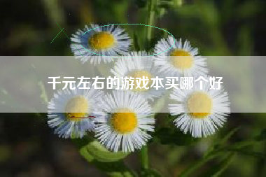 千元左右的游戏本买哪个好