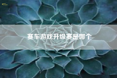 赛车游戏升级赛是哪个