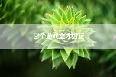 哪个游戏盒才好玩