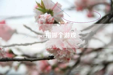 pcr指哪个游戏