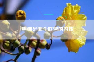 黑猫是哪个联盟的游戏