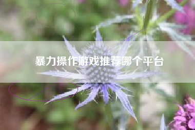 暴力操作游戏推荐哪个平台