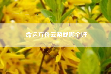 命运方舟云游戏哪个好
