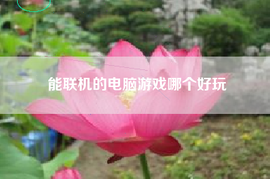 能联机的电脑游戏哪个好玩