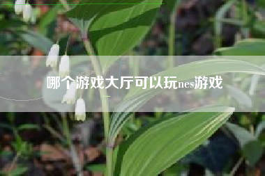 哪个游戏大厅可以玩nes游戏
