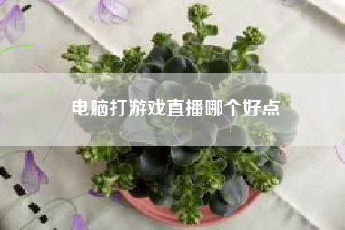 电脑打游戏直播哪个好点