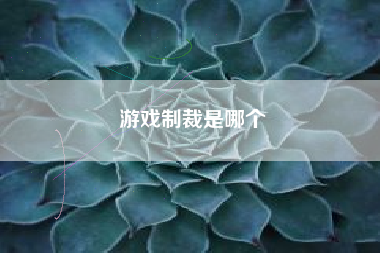 游戏制裁是哪个