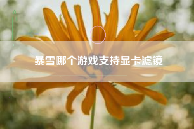 暴雪哪个游戏支持显卡滤镜