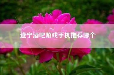 遂宁酒吧游戏手机推荐哪个