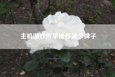 主机游戏传单推荐哪个牌子