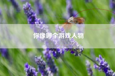 你像哪个游戏人物