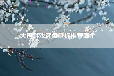 大国游戏键盘鼠标推荐哪个