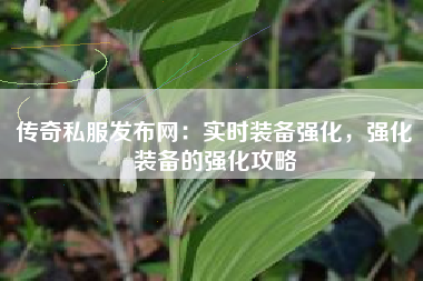 传奇私服发布网：实时装备强化，强化装备的强化攻略