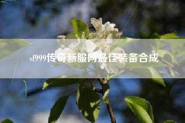 sf999传奇新服网最佳装备合成