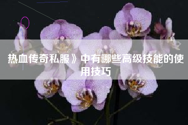 热血传奇私服》中有哪些高级技能的使用技巧